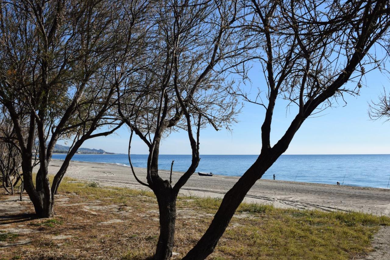 Accomodati B&B Marina di Gioiosa Ionica ภายนอก รูปภาพ